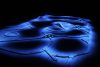 Archeologists of the Future | Time Back Way Back